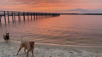 Perto da praia, espreguiçadeiras, toalhas de praia
