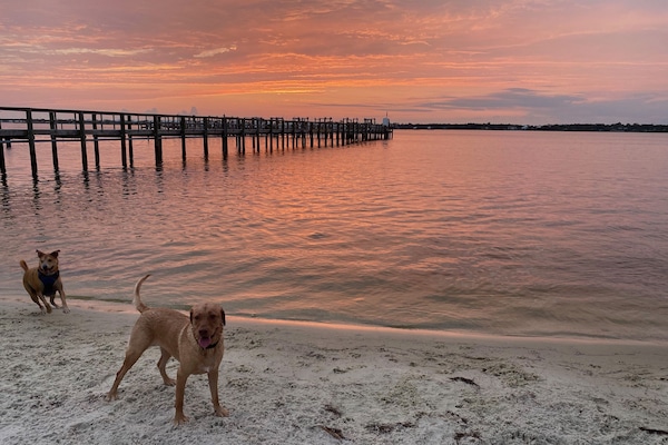 Perto da praia, espreguiçadeiras, toalhas de praia