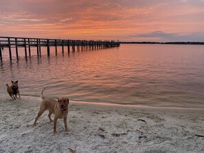 A beach with a wooden pier extending into calm waters during sunset.