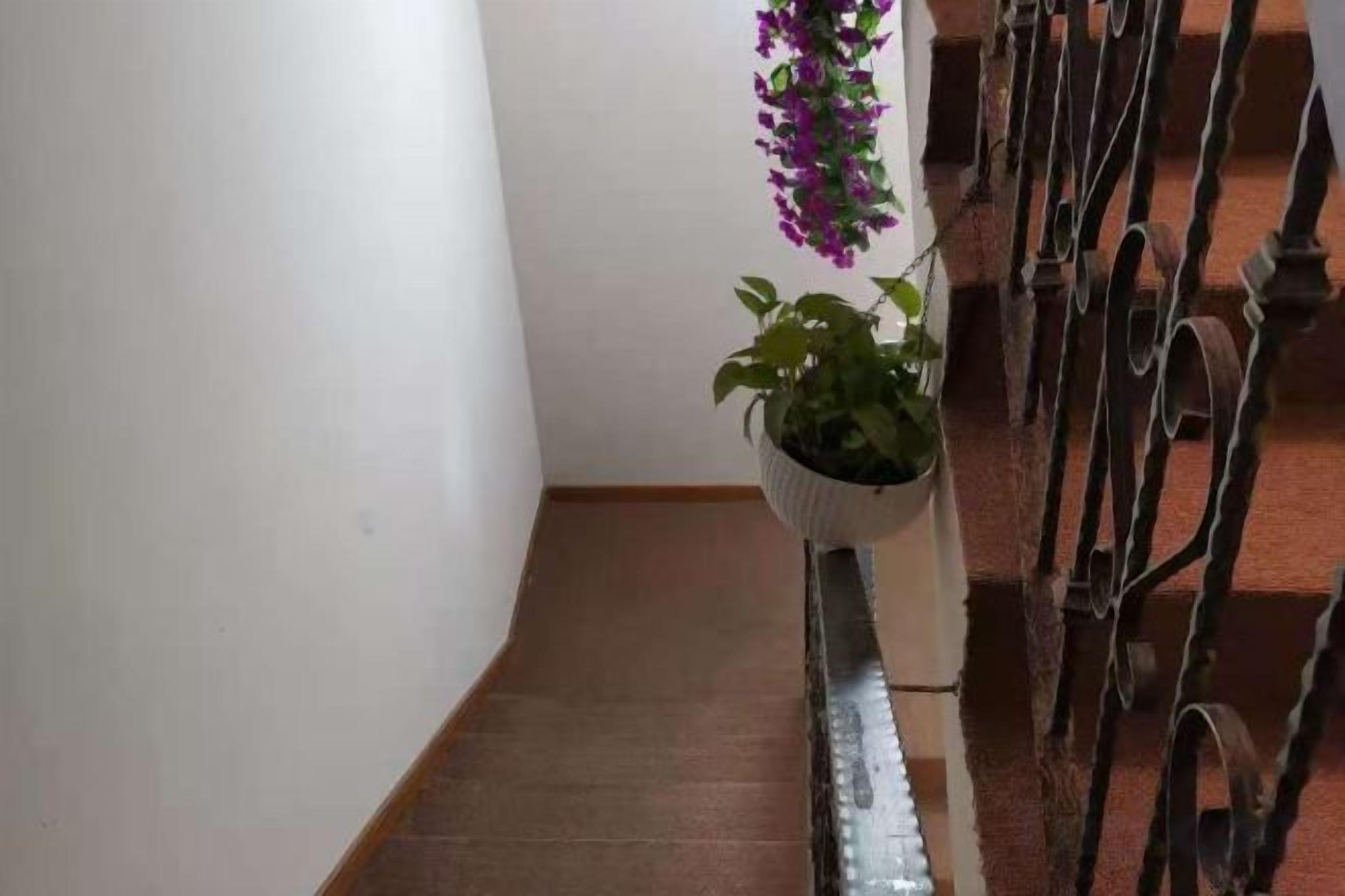 A staircase with a potted plant on the handrail.