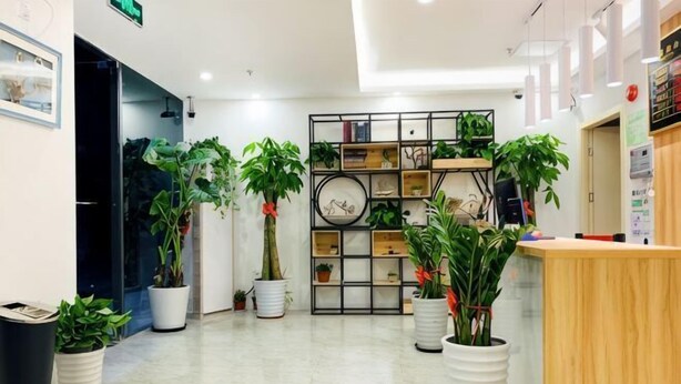 A hotel lobby with a reception desk, potted plants, and a display of framed artwork. - Impression Boutique Hotel (Shanghai Fengzhuang Metro Station Store) (Shanghai)