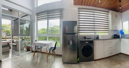 Modern apartment with 18 feet ceilings and private terrace with view to a park
