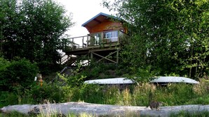 A wooden cabin with a balcony, surrounded by dense greenery and a log in the foreground.