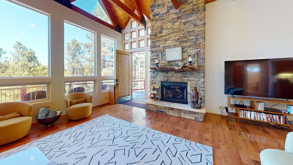 Televisión, chimenea y reproductor de DVD