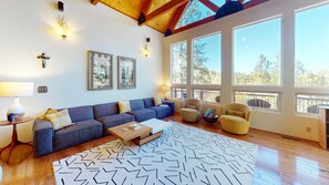 Televisión, chimenea y reproductor de DVD