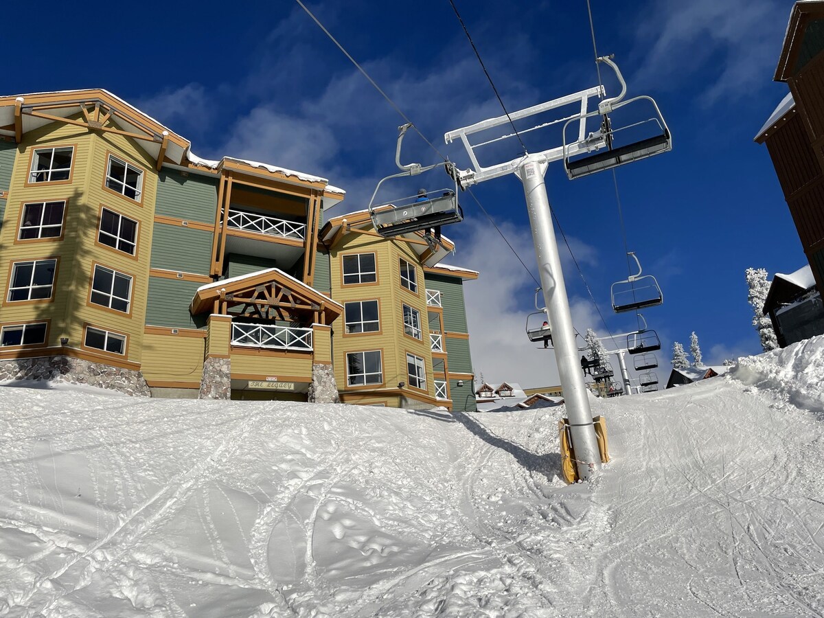 Imagen de perfil del propietario o de la propietaria