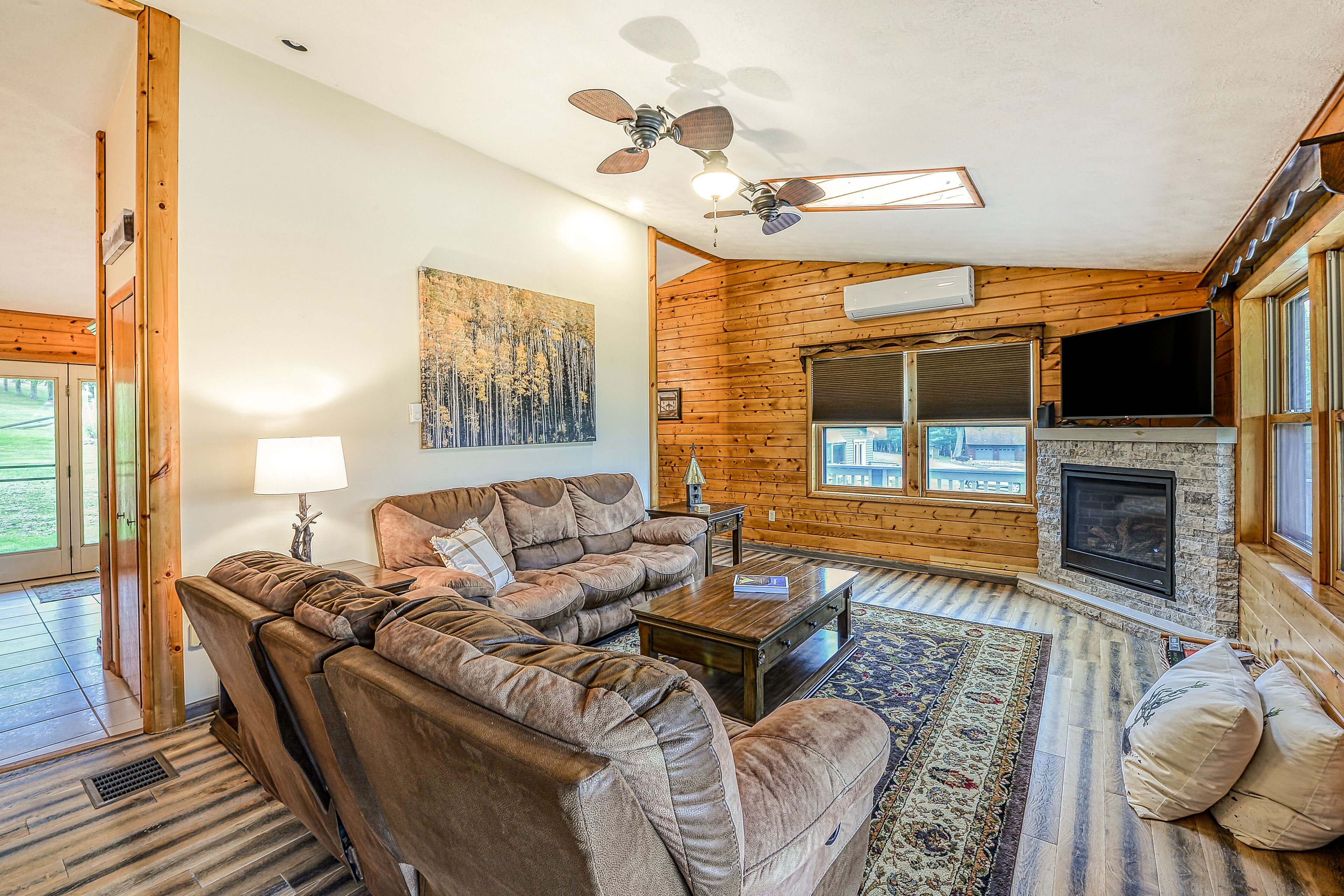 TV, fireplace, books