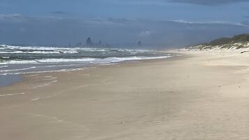 在海灘附近、躺椅