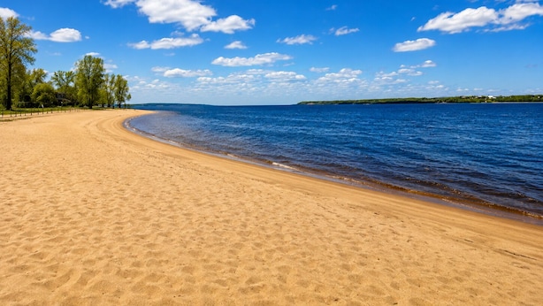 Uma praia com céu claro, areal arenoso e árvores.