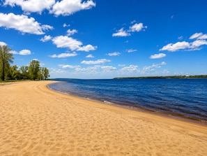 Une plage avec un ciel dégagé, un rivage sablonneux et des arbres.
