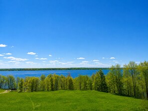 A grassy field with a lake and trees in the background.