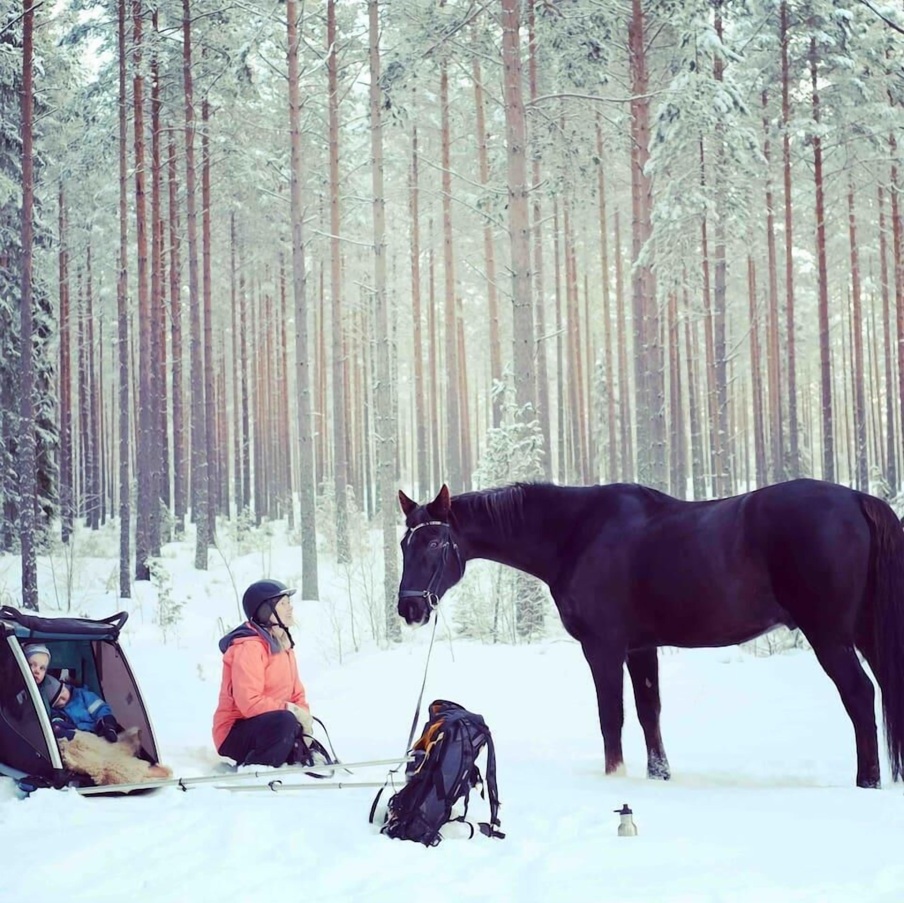 Een tent staat opgezet in een besneeuwd bos, met een paard in de buurt.