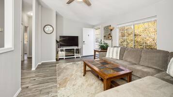 Smart TV, caminetto, lettore DVD, libri