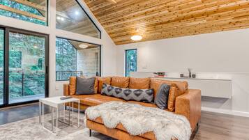 Una televisión, una chimenea