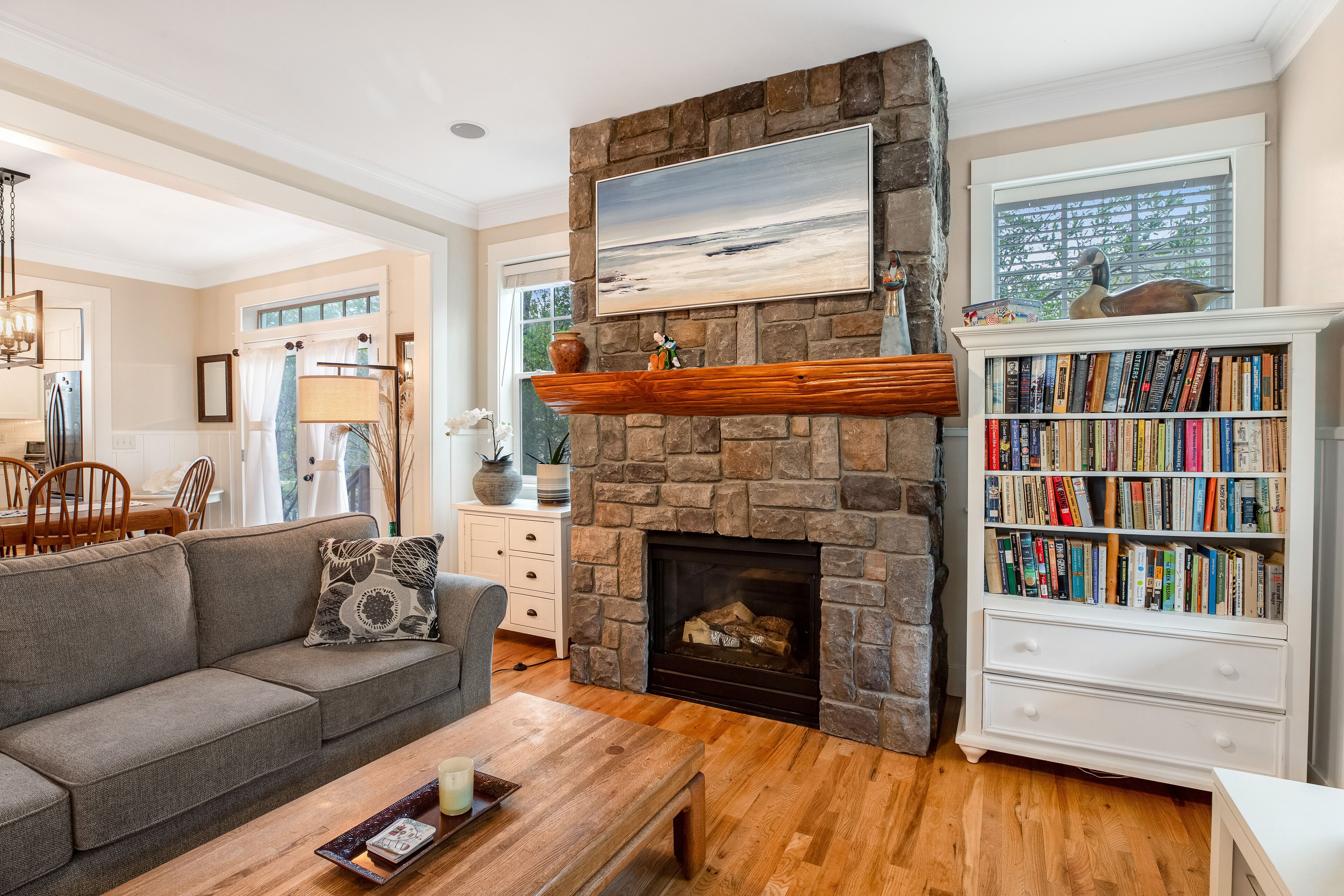 Televisie, een open haard, een dvd-speler en boeken