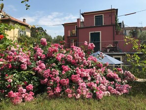 Exterior - Apartment "Il Girasole" with Sea View, Wi-Fi, A/C, Balcony, Terrace and Garden (IMPERIA)