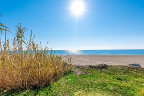 A beach with grass and reeds in the foreground, a clear sky, and the ocean in the background.