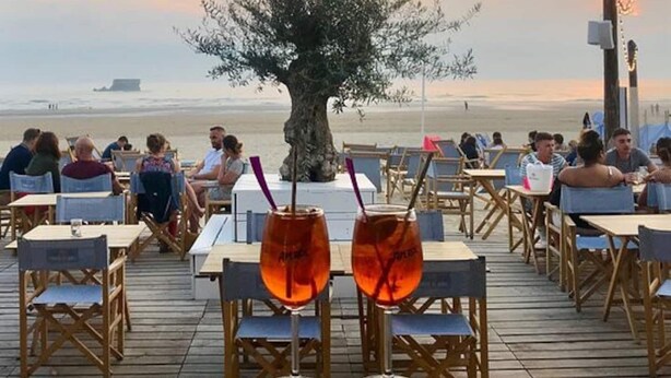 An outdoor dining area with tables and chairs, a large tree, and a view of the sea. - 57 M2 FLAT WITH SEA AND BEACH VIEWS (Le Portel)