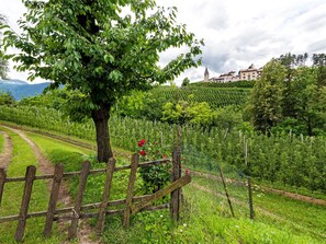 Overnatningsstedets område