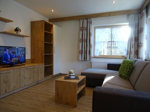 Fernseher