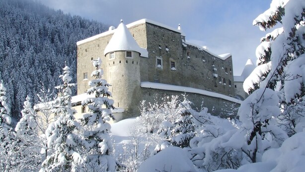 Um castelo rodeado por árvores cobertas de neve.
