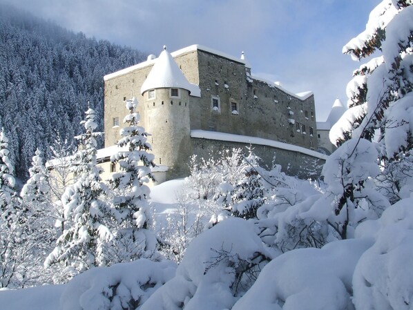 Un castillo rodeado de árboles cubiertos de nieve.