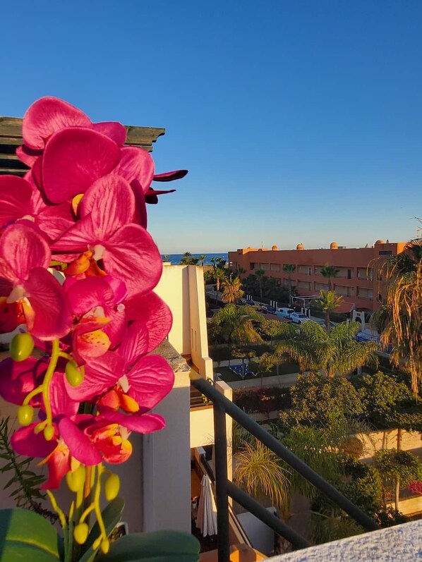 Un balcón con orquídeas rosadas, vista a un edificio de varios pisos y un cielo azul despejado.