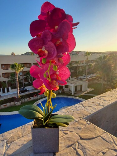 Spectacular duplex penthouse with private pool!