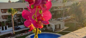 Spectacular duplex penthouse with private pool!