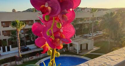 Spectacular duplex penthouse with private pool!