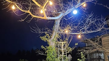 Ngoại thất