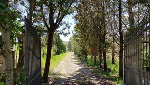 A gravel path flanked by metal gates leading into a wooded area.