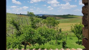 A view of a rural landscape with rolling hills and scattered trees.