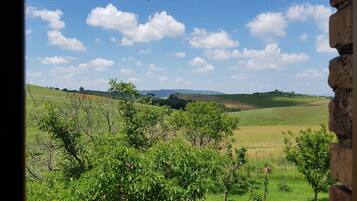 Land view from property