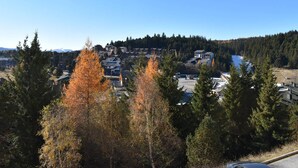 A residential area with houses, a parking lot, and a forested hill in the background.
