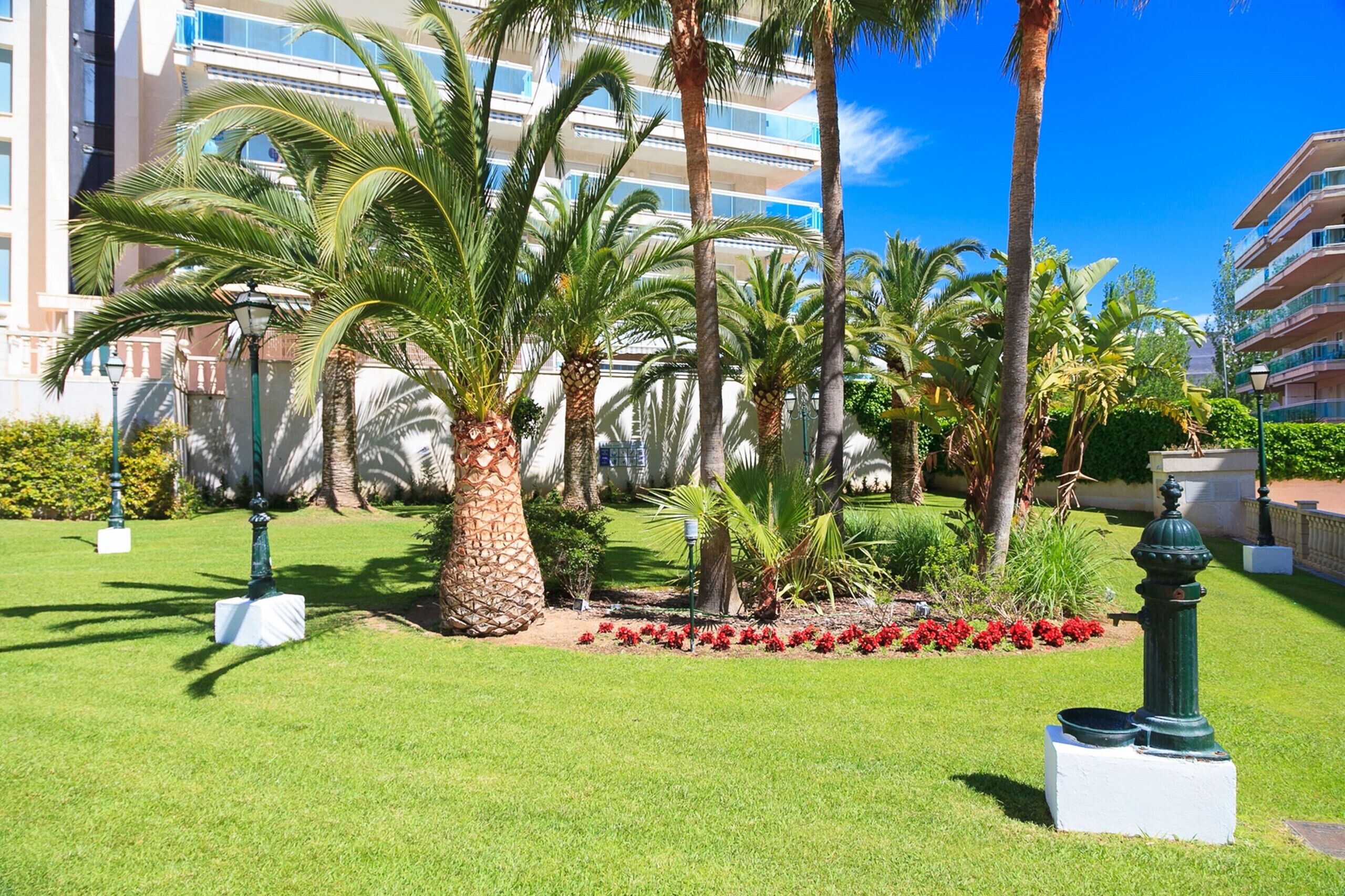 A well-maintained garden with palm trees, red flowers, and a statue.