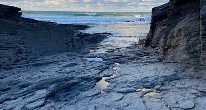 Tregenna a beautiful spacious cottage in Boscastle with parking