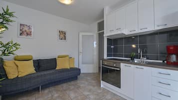 Apartamento | Cocina privada | Frigorífico, horno, placa de cocina y cafetera o tetera