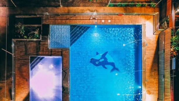 Une piscine avec un plongeur, entourée de murs en bois et dotée d’une grande fenêtre.