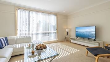 Smart TV, video games, Netflix, streaming services