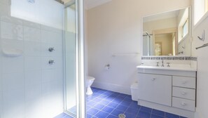 A bathroom with a glass shower enclosure, a toilet, and a sink with a mirror. - Sea Breeze, 1,23 Stubby St Nelson Bay - Pet Friendly duplex with boat parking, air con and wi-fi (Nelson Bay)
