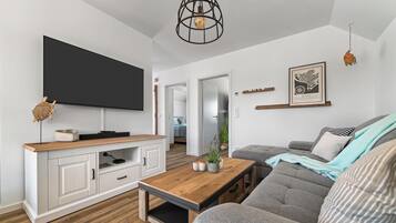 TV, fireplace, video library