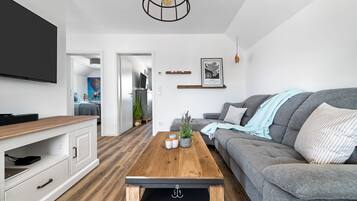 Een televisie, een open haard en een filmbibliotheek