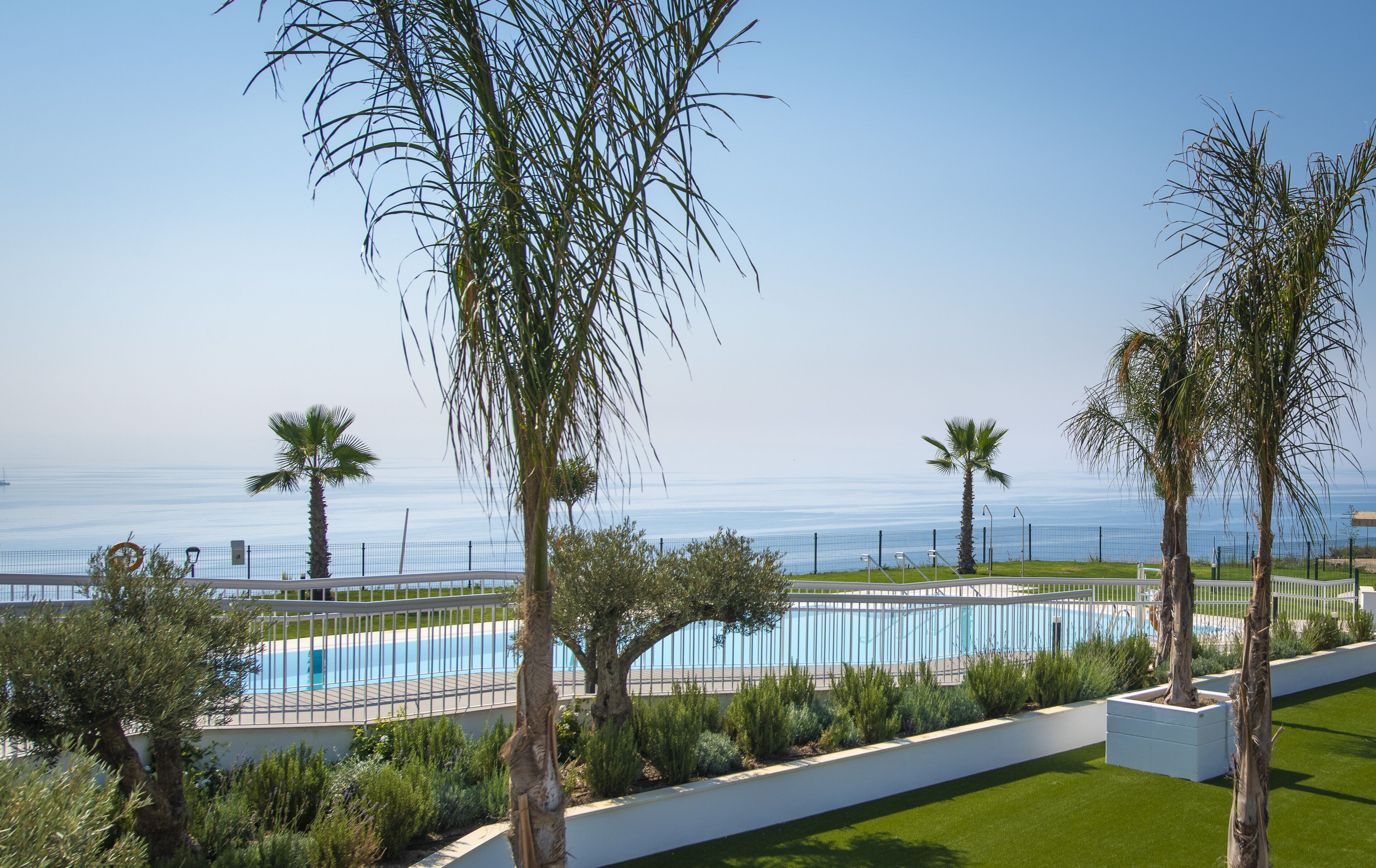 A pool area with palm trees and a view of the sea.