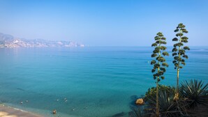 A coastal landscape with clear blue waters, a sandy beach, and distinctive coastal vegetation.
