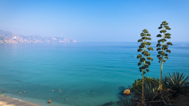 A coastal landscape with clear blue waters, a sandy beach, and distinctive coastal vegetation.