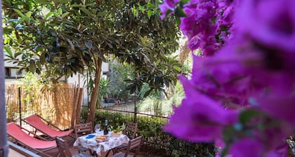 Il Giardino di Ada Ground Floor Studio with AC and Patio