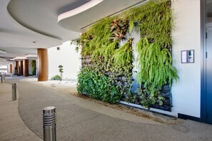 Terrein van de accommodatie