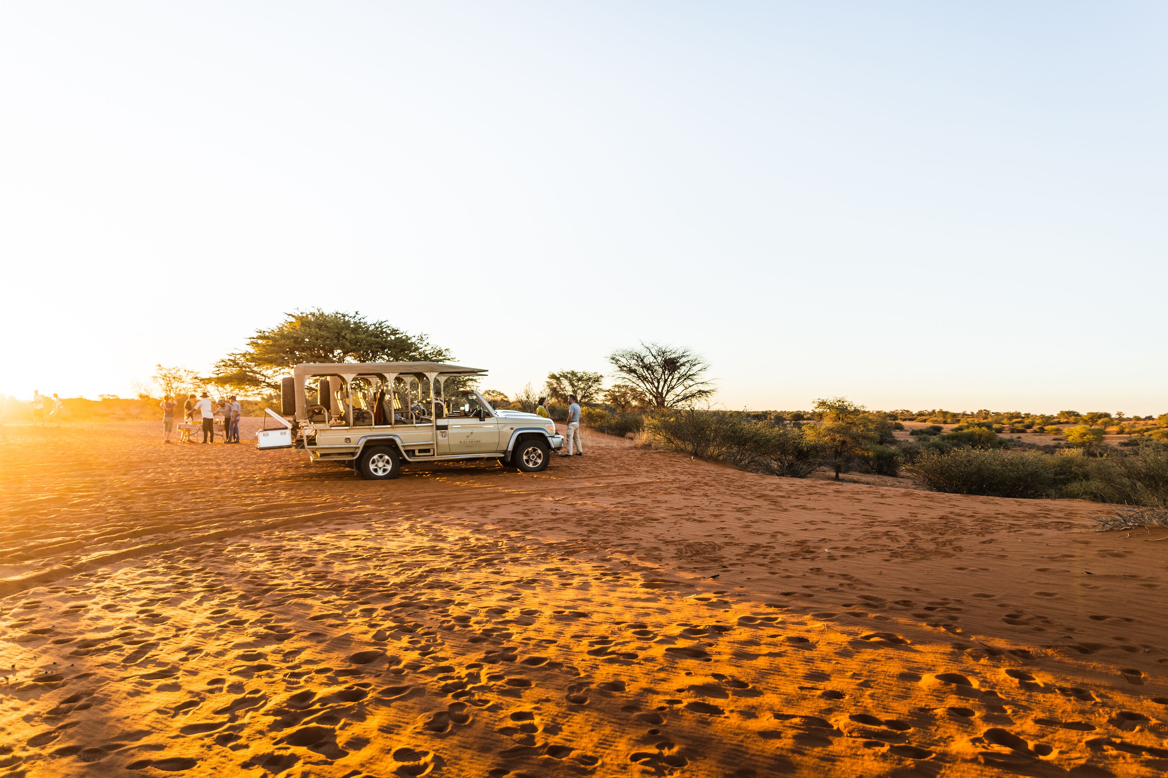 A desert landscape with a white pickup truck parked on the sand, surrounded by sparse vegetation and a clear sky.