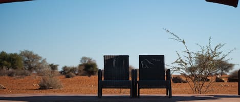 2 つの屋外プール、サンラウンジャー